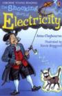Image for The shocking story of electricity
