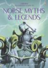 Image for Illustrated Guide to Norse Myths and Legends