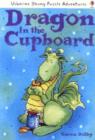 Image for Dragon in the Cupboard
