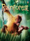 Rainforests - Bowman, Lucy