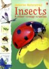 Image for Insects &amp; other creepy-crawlies