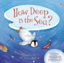 Image for How deep is the sea?