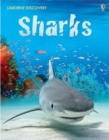 Image for Discovery Sharks