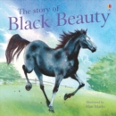 Image for The story of Black Beauty