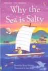 Image for Why the sea is salty