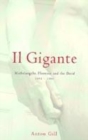 Image for Il gigante  : Florence, Michelangelo and the David, 1492-1504