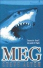Image for Meg