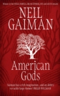 Image for American Gods