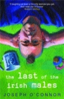 Image for The Last of the Irish Males