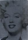 Image for Monroe, Marilyn, and the Camera