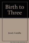 Image for Birth to Three