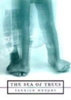 Image for The sea of trees