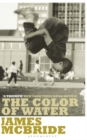 Image for The color of water  : a black man&#39;s tribute to his white mother