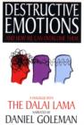 Image for Destructive emotions  : and how we can overcome them
