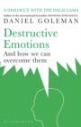 Image for Destructive emotions and how we can overcome them  : a dialogue with the Dalai Lama