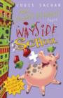 Image for More Sideways Arithmetic from Wayside School