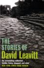 Image for The stories of David Leavitt