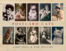 Image for Postcard Cats