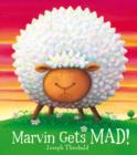 Image for Marvin Gets Mad