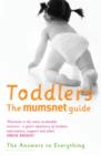 Image for Toddlers  : the mumsnet guide