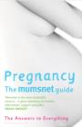 Image for Pregnancy: The Mumsnet Guide