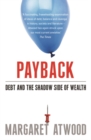 Image for Payback  : debt as metaphor and the shadow side of wealth