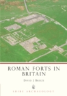 Image for Roman forts in Britain