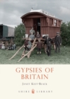 Image for Gypsies of Britain : no. 738