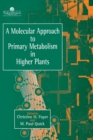 Image for A Molecular Approach To Primary Metabolism In Higher Plants