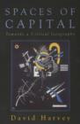 Image for Spaces of capital  : towards a critical geography