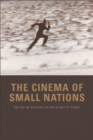 Image for The cinema of small nations