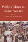 Image for Public violence in Islamic societies  : power, discipline, and the construction of the public sphere, 7th-19th centuries CE