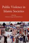Image for Public violence in Islamic societies: power, discipline, and the construction of the public sphere, 7th-19th centuries CE