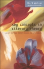 Image for Key concepts in literary theory