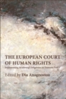 Image for The European Court of Human Rights: implementing Strasbourg&#39;s judgements on domestic policy