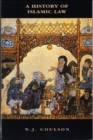 Image for A history of Islamic law : 2