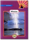 Image for Sound Start : Violet level : Non-fiction : Whales