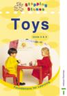 Image for Stepping Stones : Foundations for Learning: Toys : Teachers Book