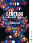 Image for Genetics  : a molecular approach