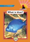 Image for Sound Start Orange Non-Fiction - What is Blue?