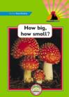 Image for Sound Start Green Non-Fiction - How Big, How Small?
