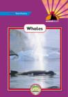 Image for Sound Start Violet Non-Fiction - Whales