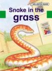 Image for Wellington Square Assessment Kit - Snake in the Grass
