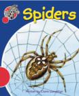Image for Spotty Zebra Red Change - Spiders