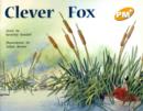 Image for PM PLUS YELLOW 6 FCN CLEVER FOX x 6