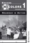 Image for Encore Tricolore Nouvelle Edition 1 Grammar in Action
