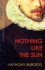 Image for Nothing like the sun: a story of Shakespeare&#39;s love-life