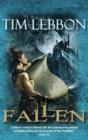 Image for Fallen  : a novel of Noreela