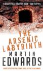 Image for The arsenic labyrinth