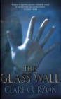 Image for The glass wall